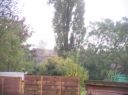 100_0569.JPG