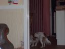 100_0010.JPG