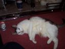 100_0047.JPG