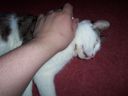 100_0057.JPG