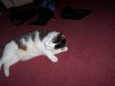 100_0058.JPG