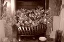 100_0066.JPG
