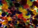 100_1485.JPG