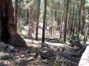 100_1613.JPG