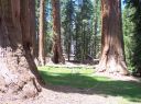 100_1617.JPG