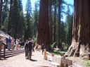 100_1618.JPG