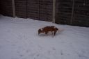 100_2705.jpg
