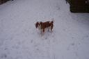 100_2711.jpg