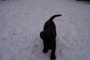 100_2724.jpg