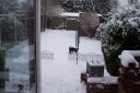 100_2726.jpg