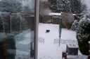 100_2727.jpg