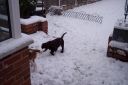 100_2731.jpg