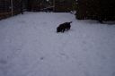 100_2744.jpg