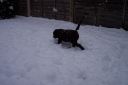 100_2745.jpg