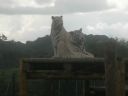 DSCN0213.jpg