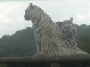 DSCN0214.jpg