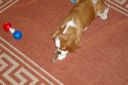 IMGP0016.JPG