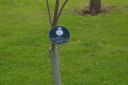 IMGP0934.JPG