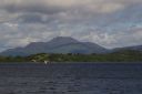 IMGP0554.JPG