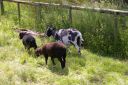 IMGP0574.JPG