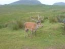 DSC00092.JPG