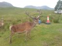 DSC00095.JPG