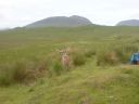 DSC00096.JPG