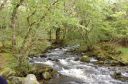 DSC_0291.JPG