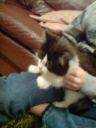 DSC02416.JPG