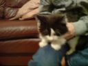DSC02417.JPG