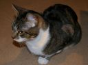 IMGP0249.JPG