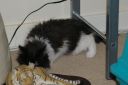IMGP0998.JPG