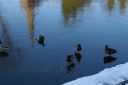 IMGP0321.JPG