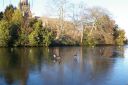 IMGP0327.JPG