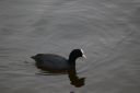 IMGP1222.JPG