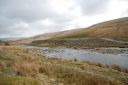 DSC_1548.JPG