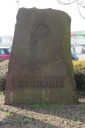 IMGP5752.JPG
