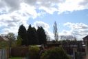 DSC_2572.JPG