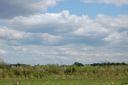 DSC_3041.JPG