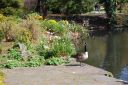 DSC_2948.JPG