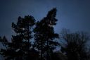 DSC_2989.JPG