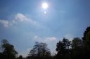 DSC_2993.JPG