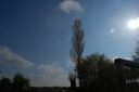 DSC_2787.JPG