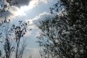 DSC_2800.JPG