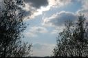 DSC_2801.JPG