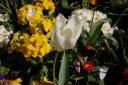 DSC_2660.JPG