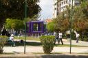 IMGP7928.JPG