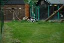 DSC_3117.JPG
