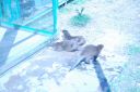 DSC_3143.JPG