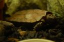DSC_3159.JPG